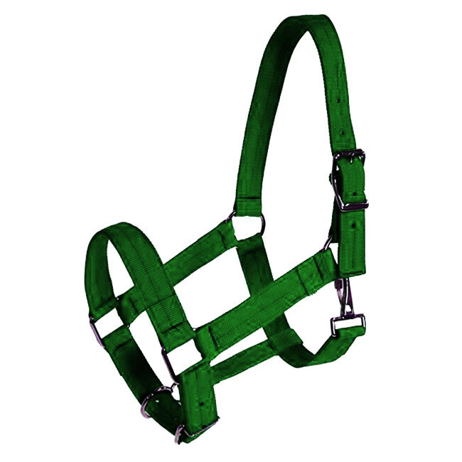Triple E 1-1/2" Adjustable Poly Web Draft Halter image number null