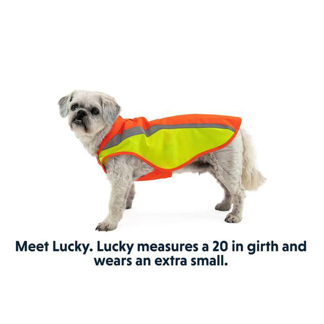 Ruffwear Lumenglow High-Vis Dog Jacket image number null