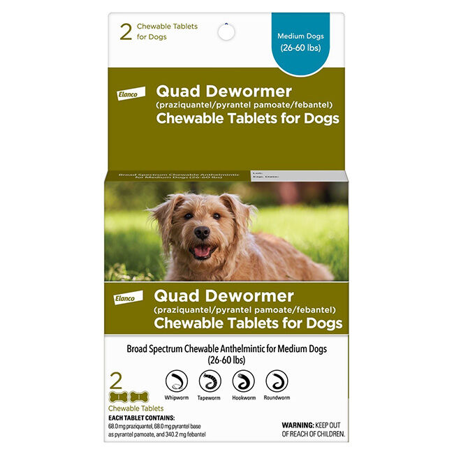 Elanco Quad Dewormer (praziquantel/pyranteI I pamoate/febantel) for Dogs image number null