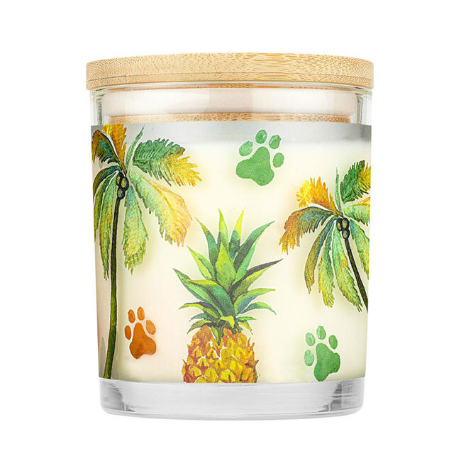 Pet House Candle Pina Colada Candle image number null