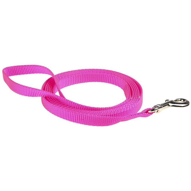 RC All Webbing Training Collar image number null