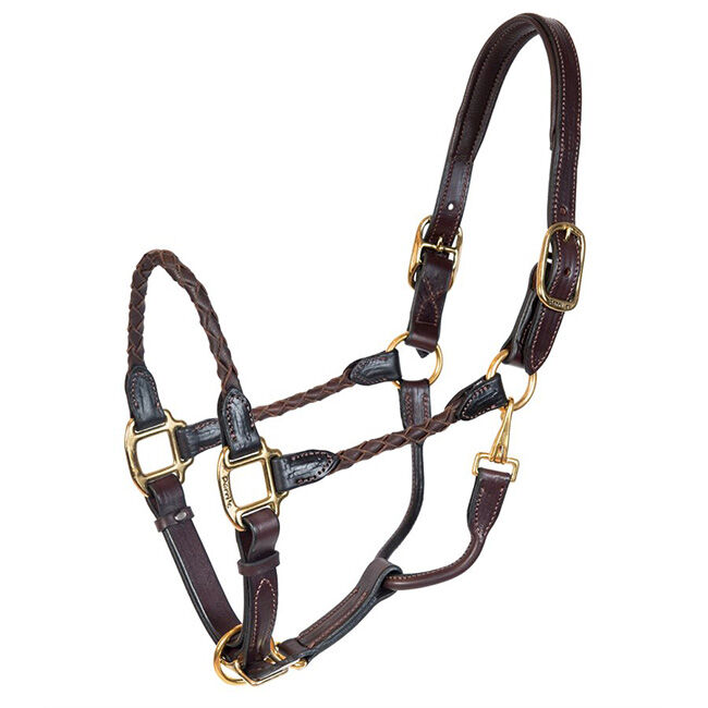 Perri's Leather Braided Leather Halter image number null