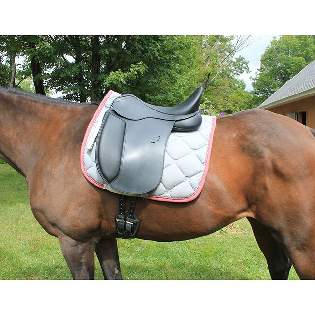 Arena Youth Dressage Saddle image number null