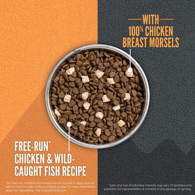 ORIJEN Wild Reserve Cat Food - Free-Run Chicken & Wild-Caught Fish Recipe image number null