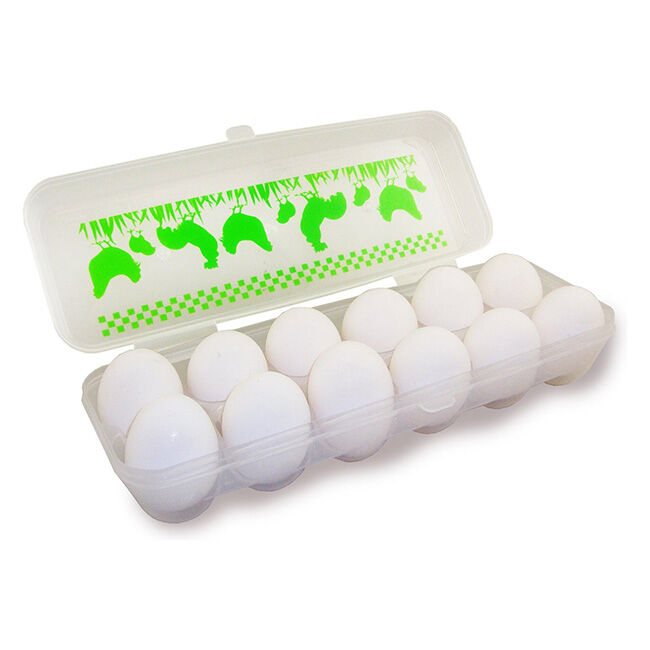 Lixit Plastic Egg Carton image number null