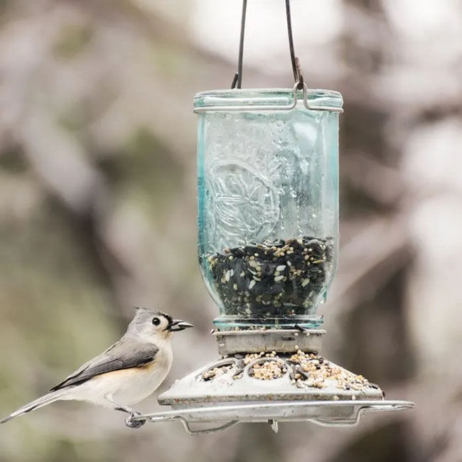 Perky-Pet Mason Jar Seed Bird Feeder image number null