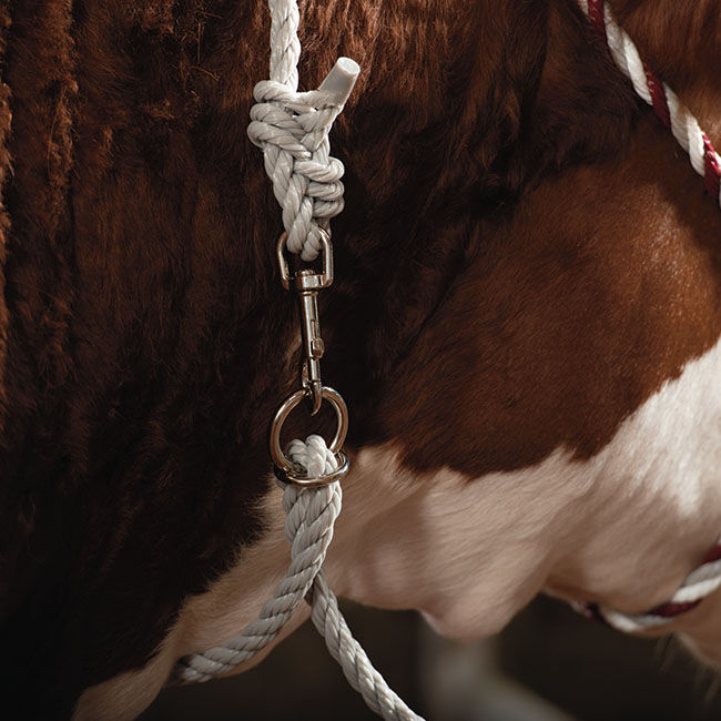 Weaver Livestock Adjustable Poly Neck Rope The Cheshire Horse