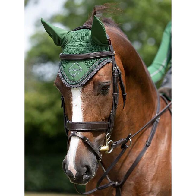 LeMieux Classic Ear Net - Hunter Green image number null