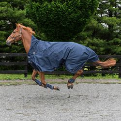 Horze Avalanche Turnout Rug with High Neck (0g) - Peacoat Dark Blue