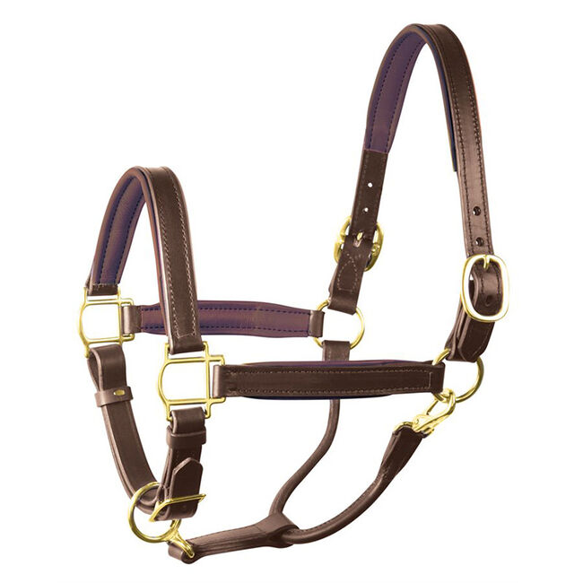 Perri's Leather Padded Leather Halter image number null