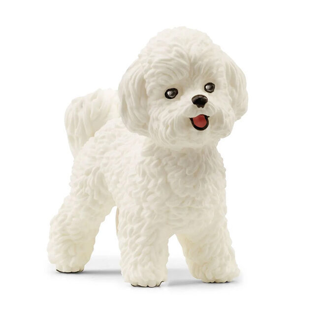 Schleich Bichon Frise image number null