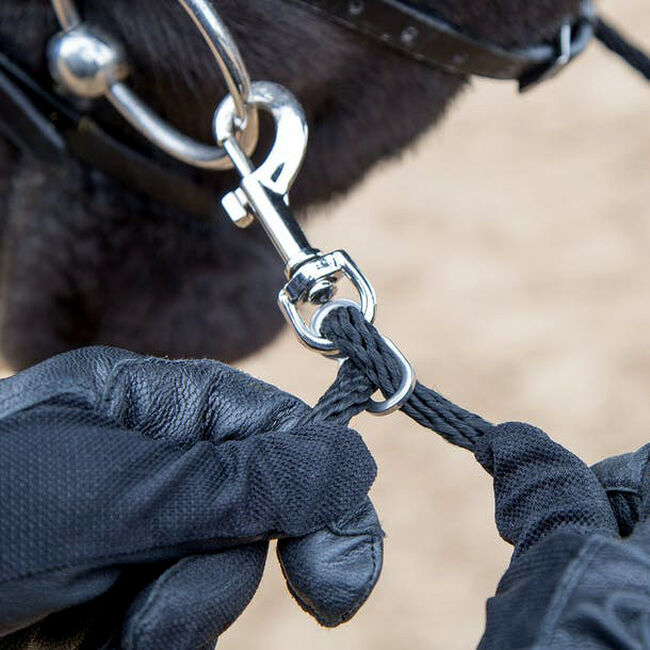 Shires Soft Lunging Aid image number null