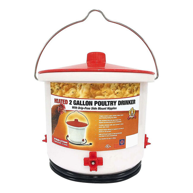 Farm Innovators Heated Poultry Drinker - 2-Gallon Capacity image number null