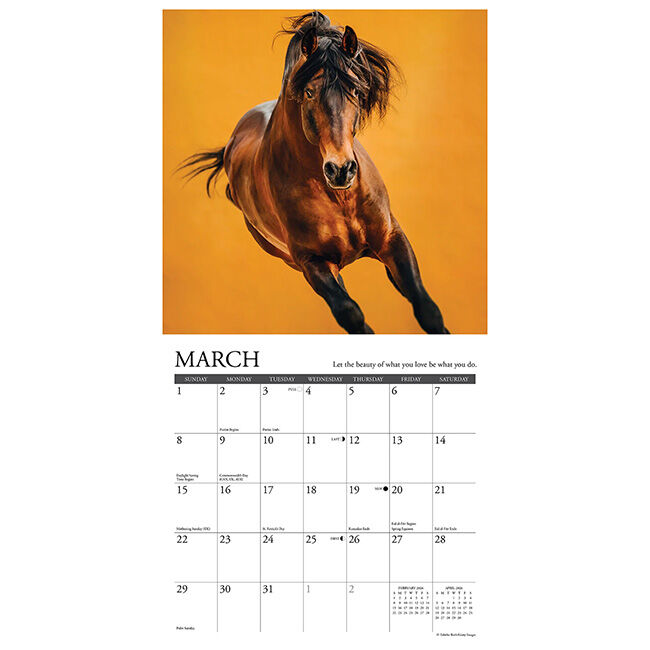Willow Creek Press 2026 Mini Wall Calendar - What Horses Teach Us image number null