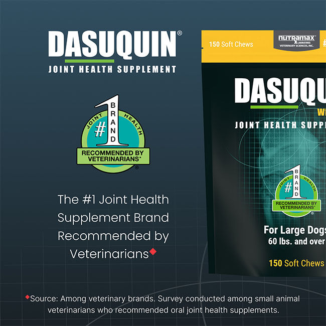 Nutramax Dasuquin for Large Dogs, Joint Health Supplement, Contains Glucosamine for Dogs, Plus Chondroitin, ASU, MSM and More, Supports Healthy Joints, Soft Chews image number null
