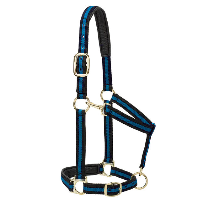 Weaver Equine Striped Padded Adjustable Chin & Throat Snap Halter image number null