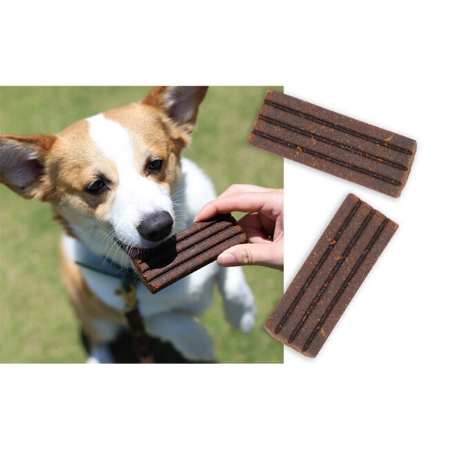 Diggin Your Dog Firm Up! - Digestive Aid Pumpkin Bar - 2.1 oz image number null