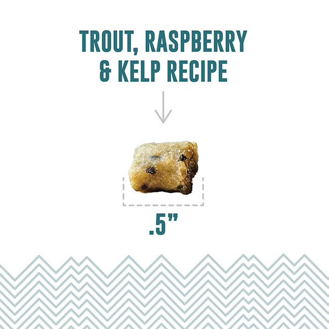 Icelandic+ Soft & Chewy Bites for Cats - Trout, Raspberry & Kelp Recipe - 1.8 oz image number null