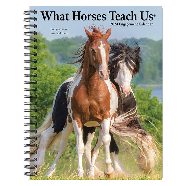 Willow Creek Press 2024 Engagement Calendar - What Horses Teach Us image number null