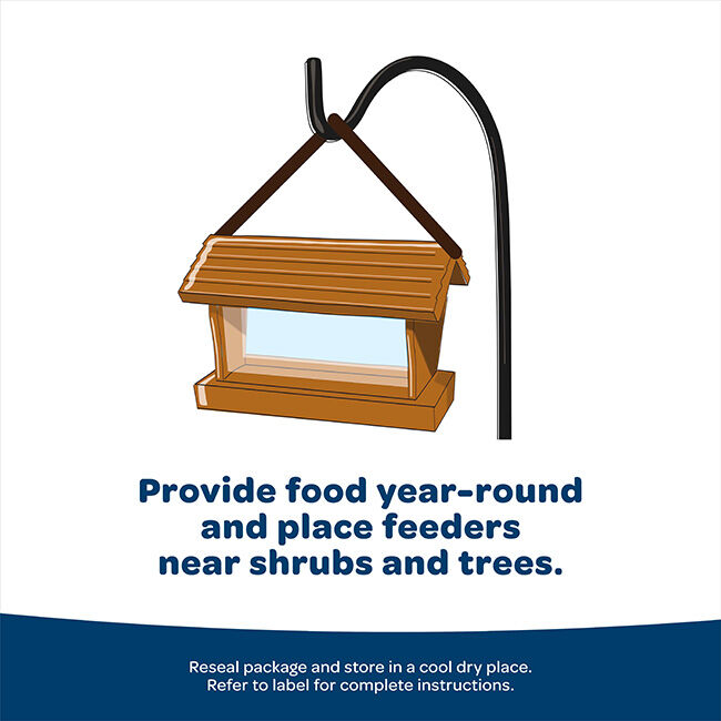 Kaytee Birders' Paradise Blend image number null