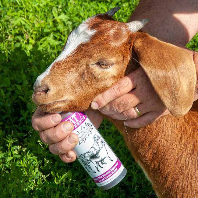Bovidr Laboratories Nutri-Drench for Goats - 8 oz image number null