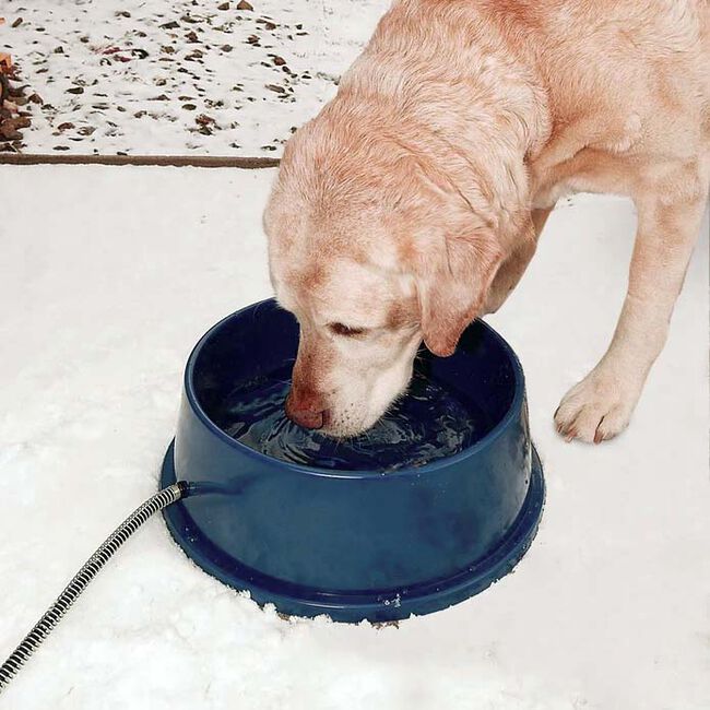 K&H Pet Thermal-Bowl Heated Outdoor Water Bowl image number null