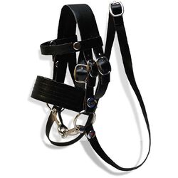 Crafty Ponies Toy English Bridle
