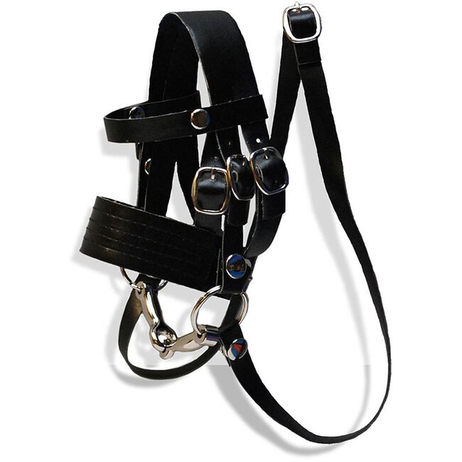 GT Reid Crafty Pony Bridle  image number null
