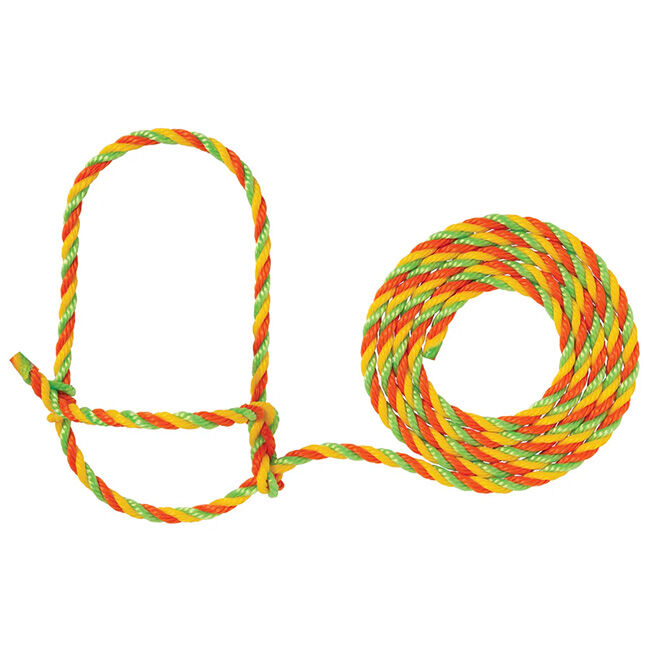 Weaver Livestock Cattle Rope Halter image number null