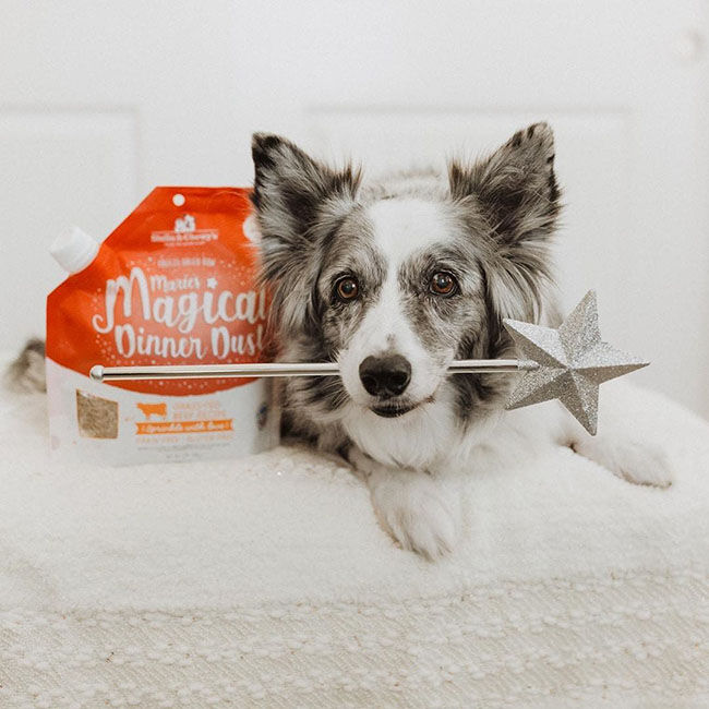 Stella & Chewy's Marie's Magical Dinner Dust - Freeze-Dried Raw Meal Topper for Dogs - Duck Duck Goose Recipe - 7 oz image number null