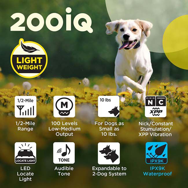 Dogtra 200IQ 1-Dog Unit image number null
