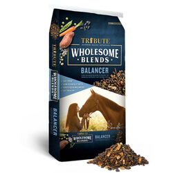 Tribute Wholesome Blends Balancer
