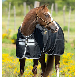 Horseware Amigo Stock Horse Medium Turnout