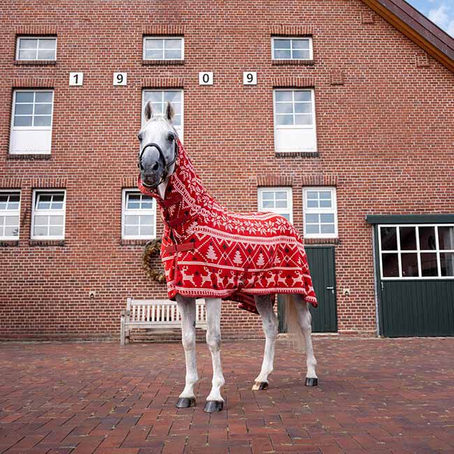 Horze Christmas Horse Sweater - Red image number null