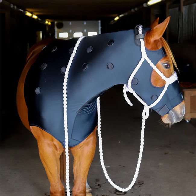 Benefab Rejuvenate SmartHood image number null