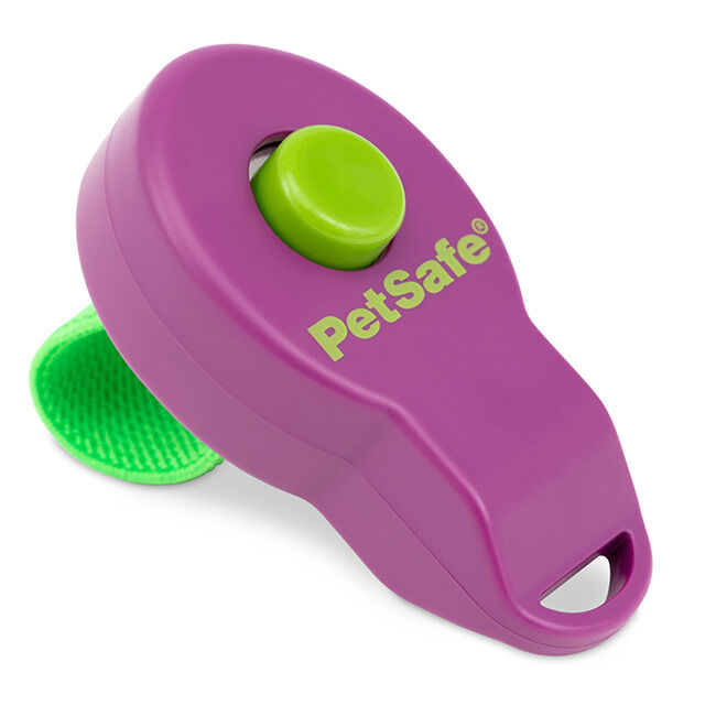 petsafe trainer