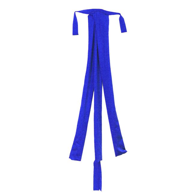Sleazy Sleepwear for Horses 3 Tube Tail Bag - Royal Blue image number null