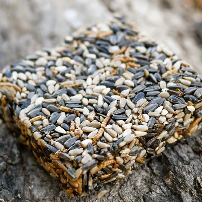 Happy Hen Treat Square - Seed & Mealworm - 6 oz image number null