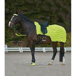 Waldhausen REFLEX Reflective Hind Exercise Sheet - Neon Yellow