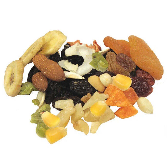 Brown's Tropical Carnival Small Animal Treats - Fruit & Nut Recipe - 8 oz image number null
