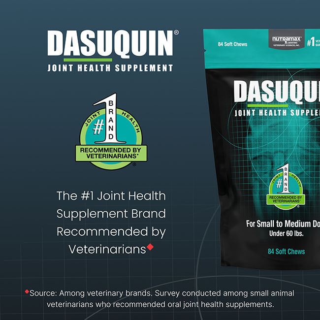 Nutramax Dasuquin for Small to Medium Dogs, Joint Health Supplement, Contains Glucosamine for Dogs, Plus Chondroitin, ASU and More, Supports Healthy Joints, Soft Chews image number null