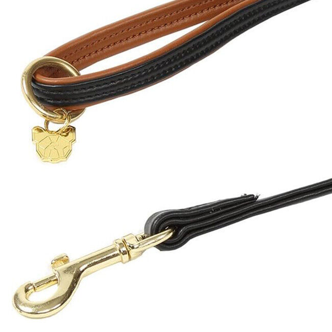 Shires Digby & Fox Padded Leather Dog Lead - Black image number null