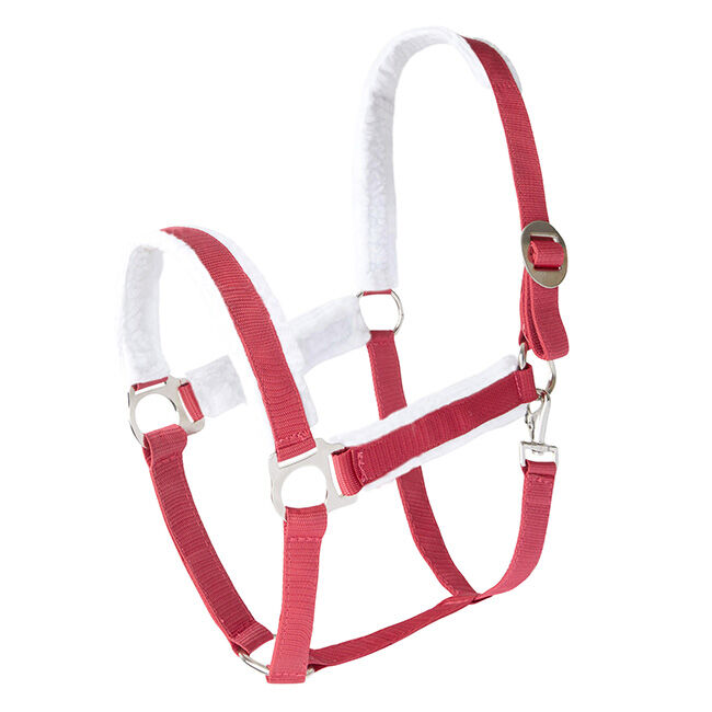 Horze Christmas Halter image number null