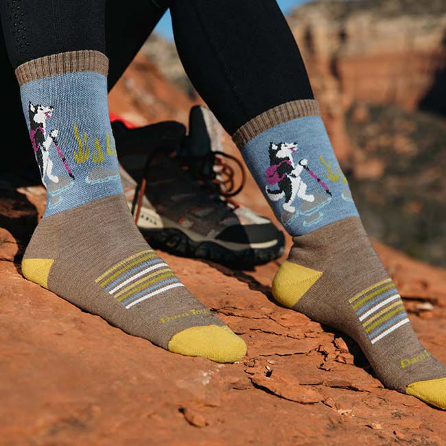 Darn Tough Women's Critter Club Micro Crew Lightweight Hiking Sock - Bark image number null