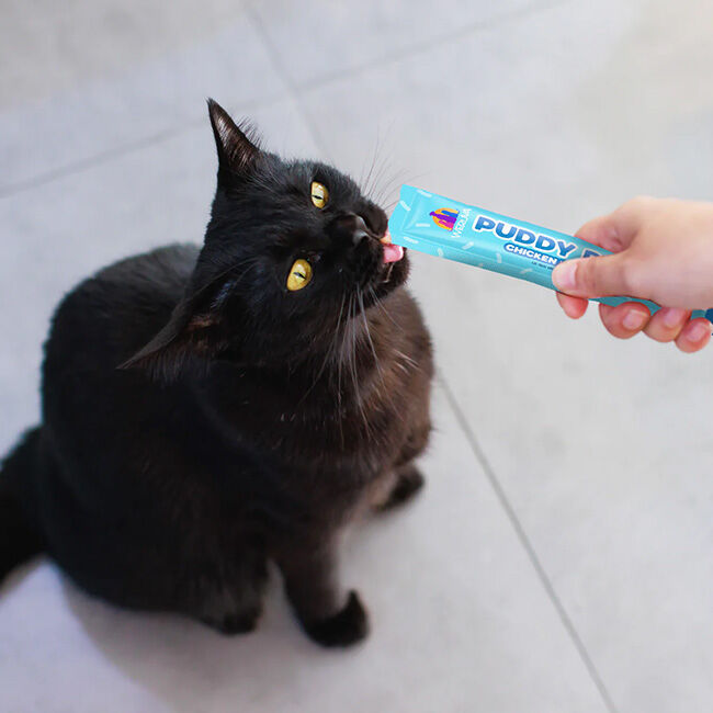 Weruva Puddy Pops Lickable Cat Treats - Tuna & Salmon - 5-Pack image number null