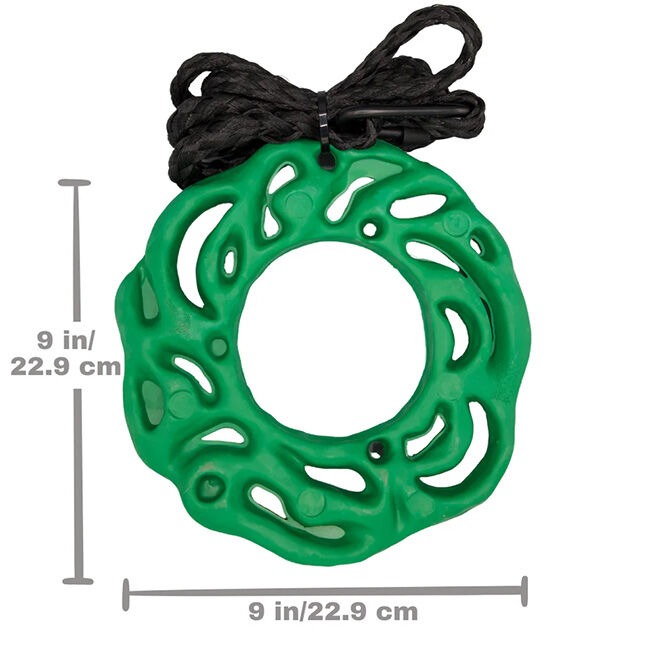 PetKORE Luna Ring Horse Toy image number null