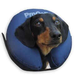ProCollar Premium Inflatable Protective Collar
