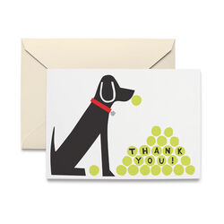 R. Nichols Thank You Cards - Labrador - 10-Pack