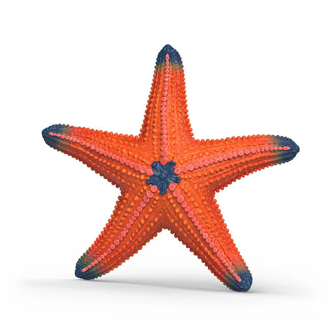 Schleich Color-Changing Starfish image number null