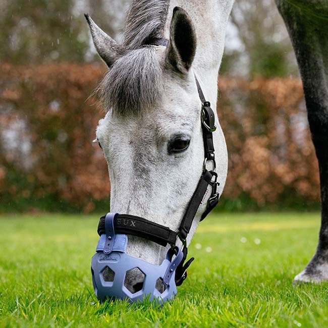 LeMieux Noma Grazing Muzzle - Powder Blue image number null